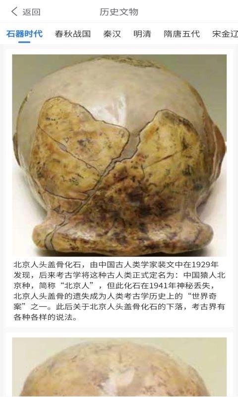 文玩大全安卓直装版图2