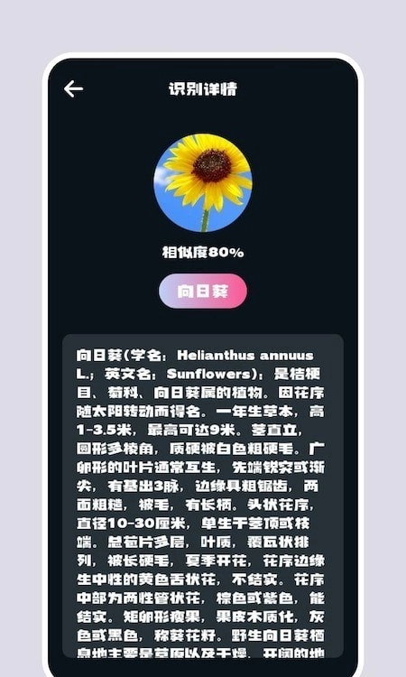 识别花通用版图2