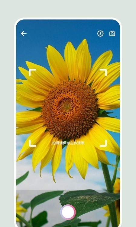 识别花通用版图3