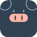 小猪翻译视频
