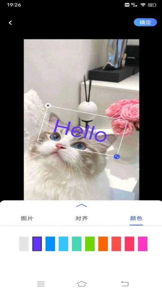 小猪翻译视频1
