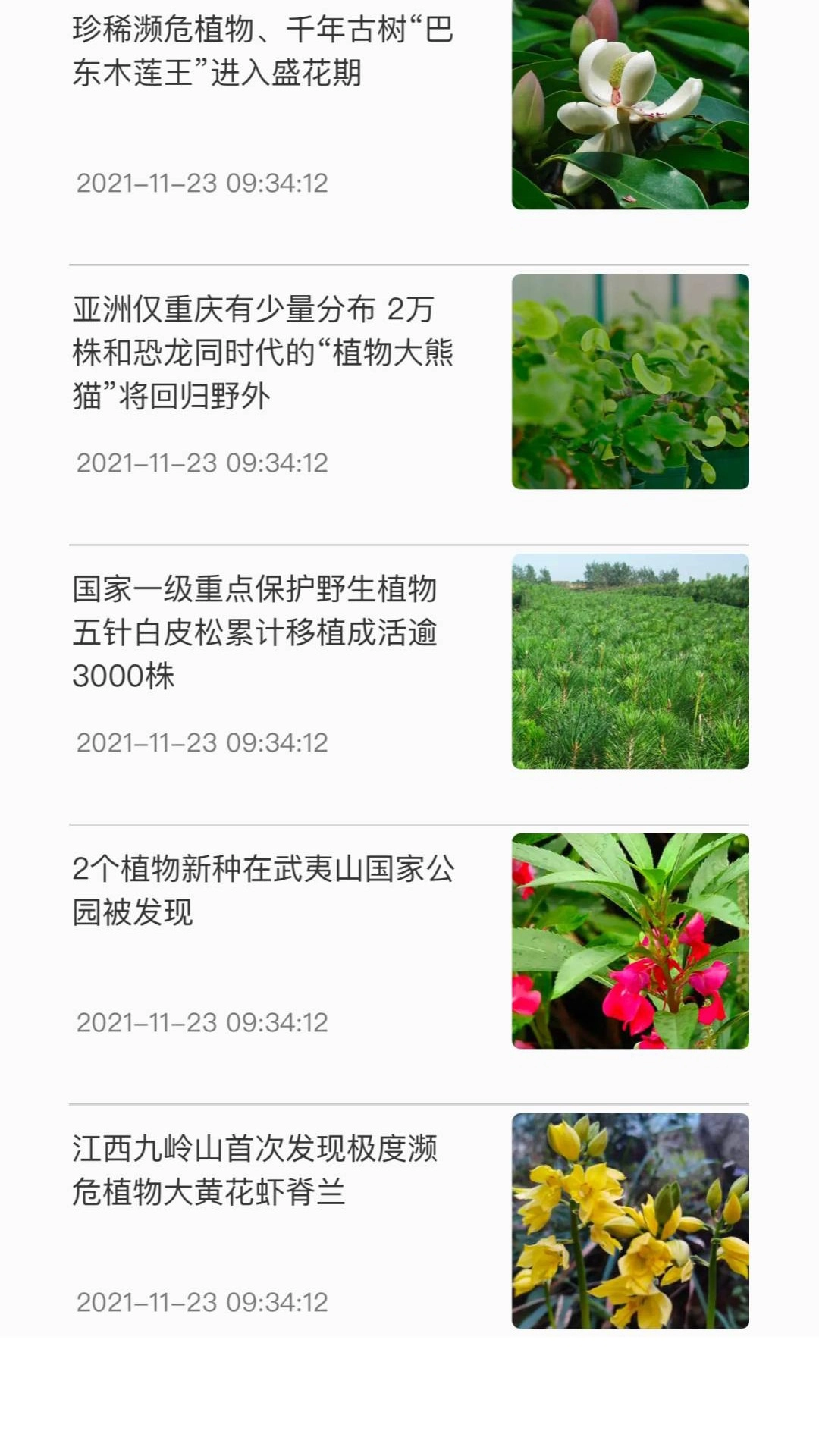 神农百草集无广告版图3