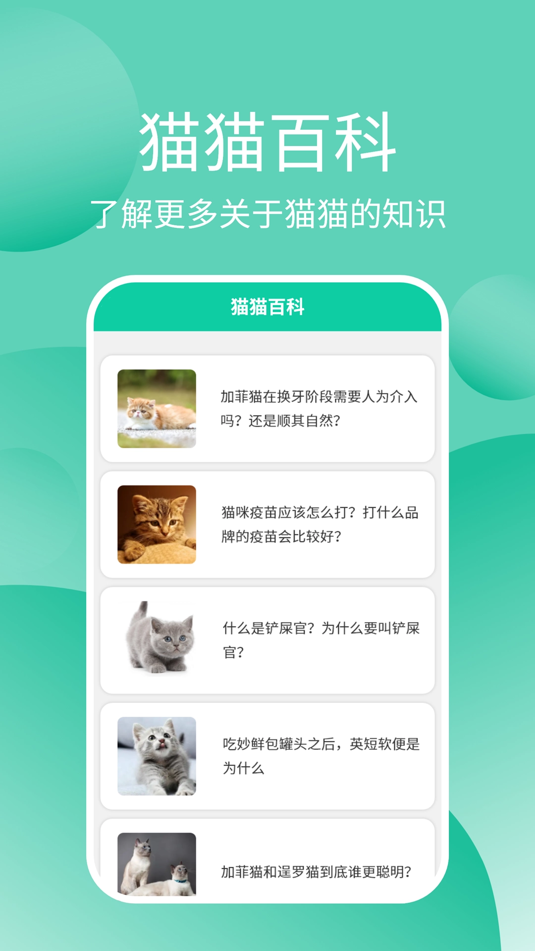猫猫交流器无广告版图3