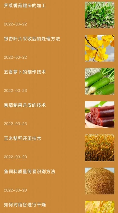 田园小院子免费版图1