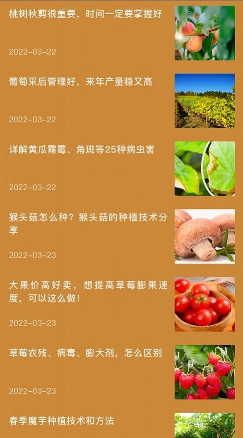 田园小院子免费版图2