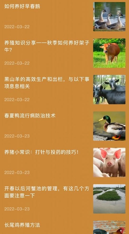 田园小院子免费版图3