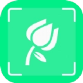 一起认植物最新版