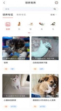 四季逗通用版图1
