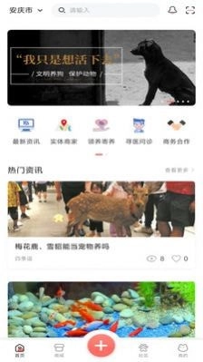 四季逗通用版图2
