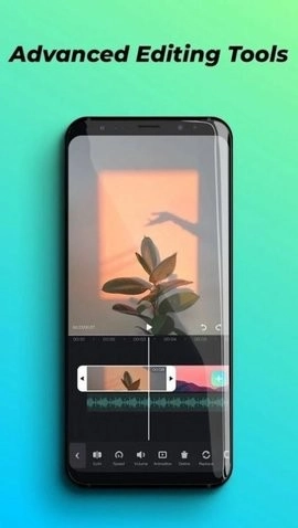Viddup正版图1