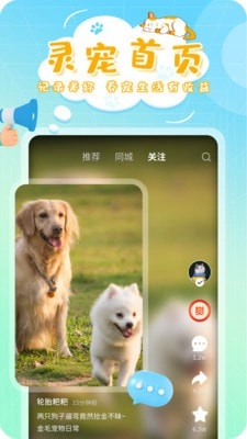 灵宠大陆直装版图1