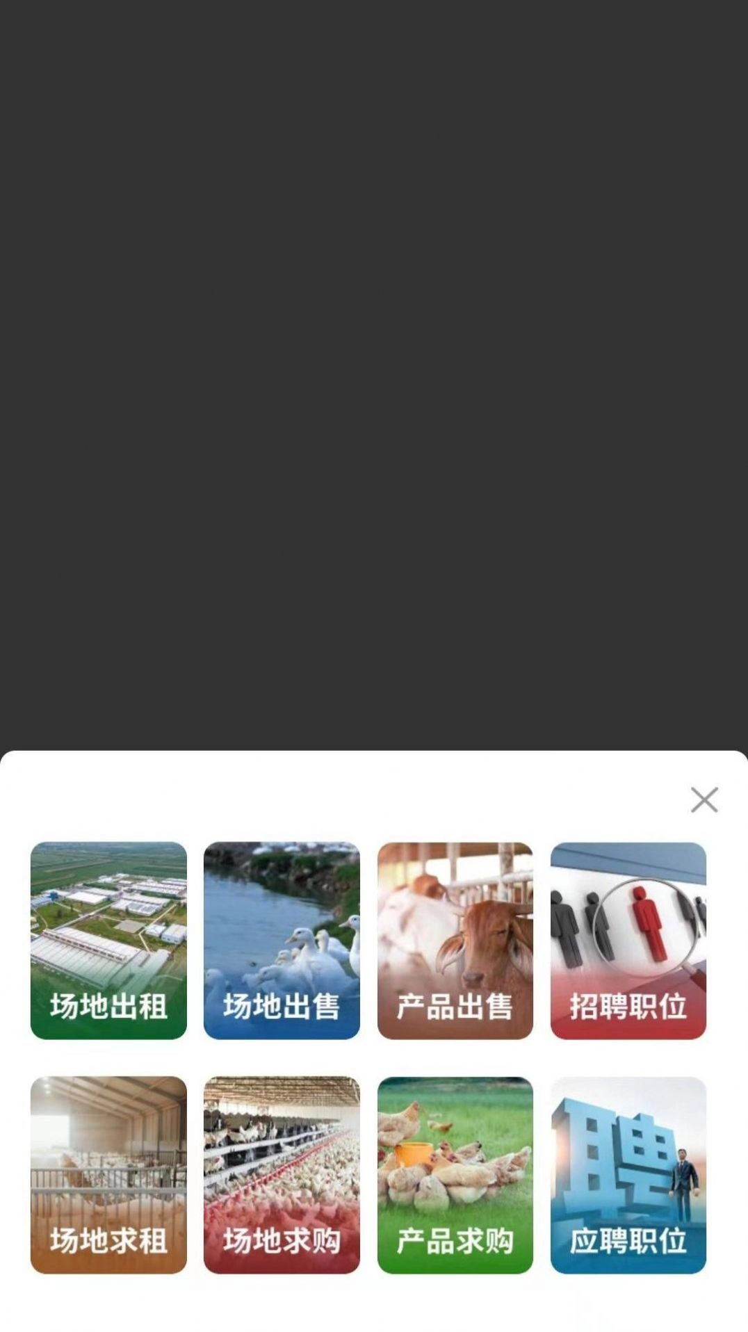 畜牧云端2