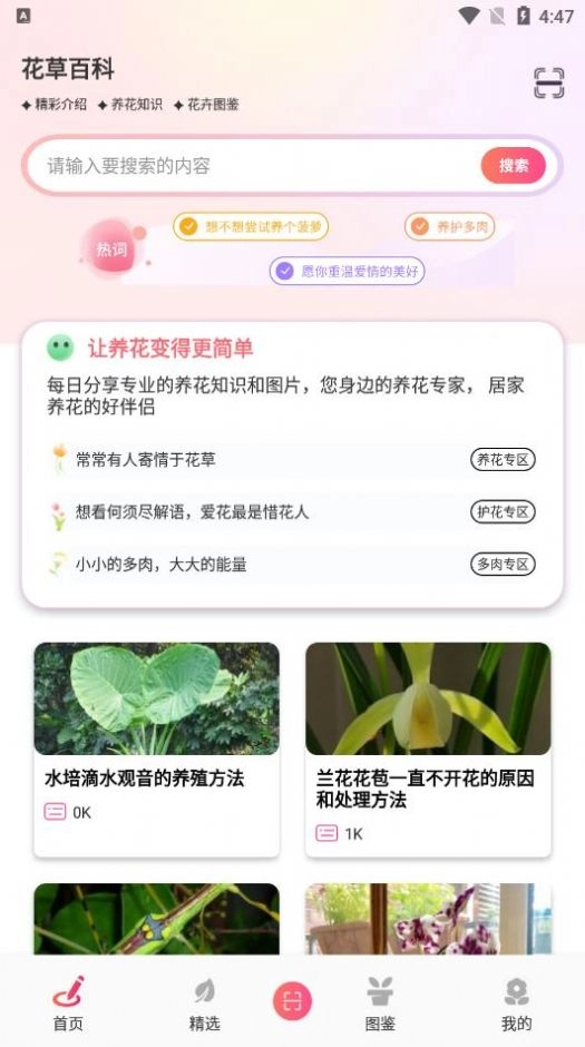 行色识花君免费原版图3
