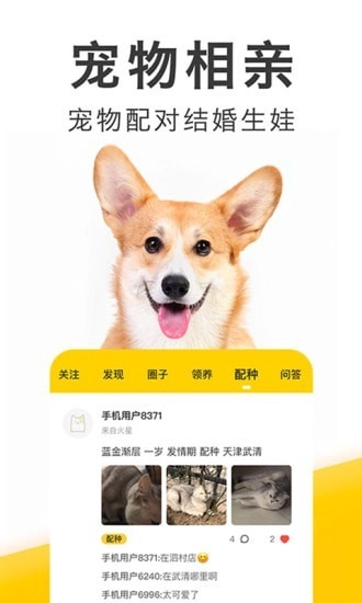 有只宠物安卓免费版图1