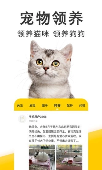 有只宠物安卓免费版图4