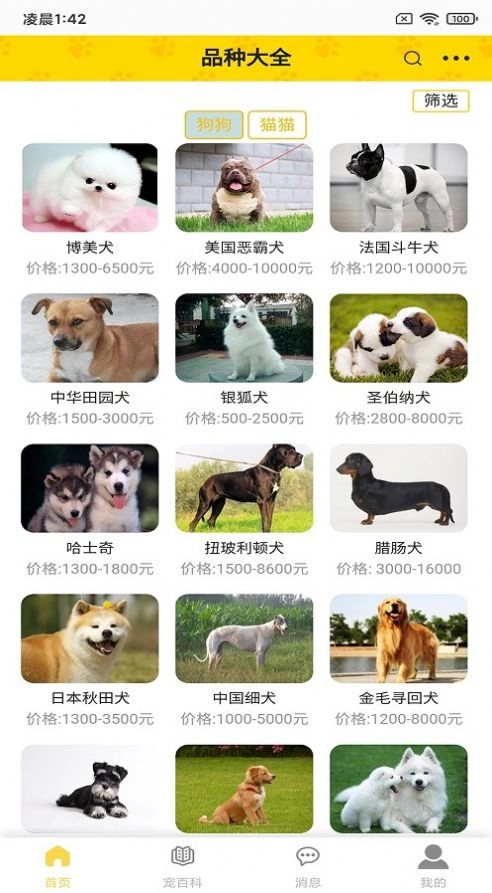 富张东狗图2