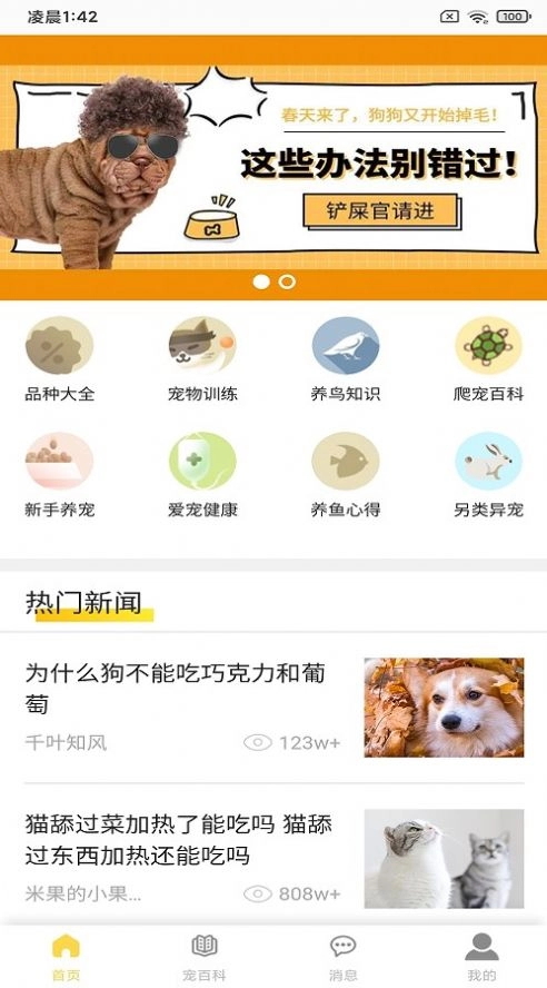 富张东狗图3