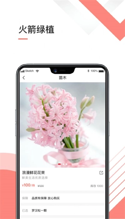 火箭绿植安卓版图2