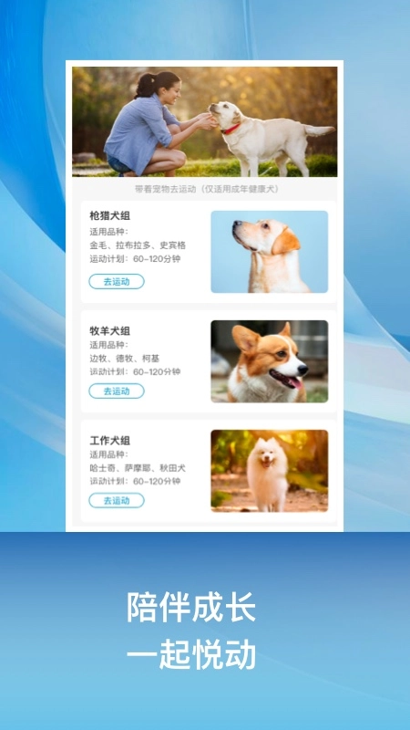 小兔乐跑免费版图3