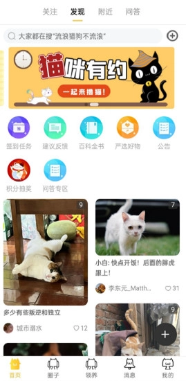 种猫家官方版图1
