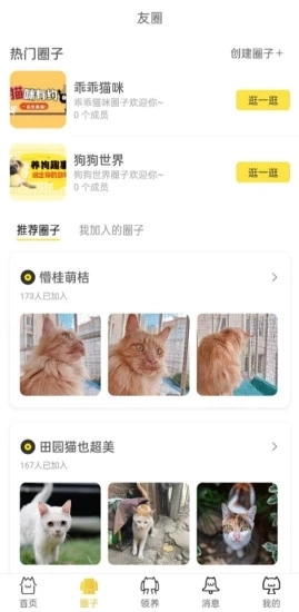 种猫家官方版图3
