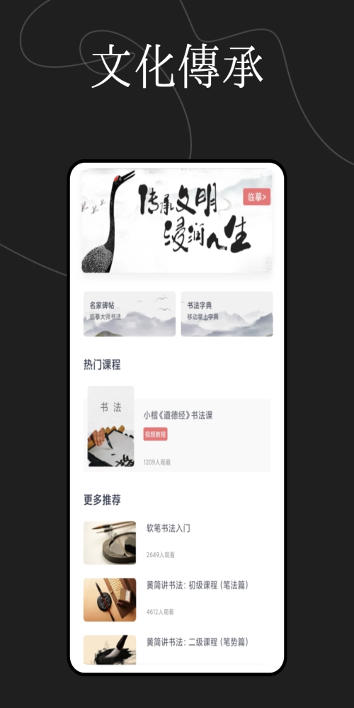 硬笔书法练字大师原版图1