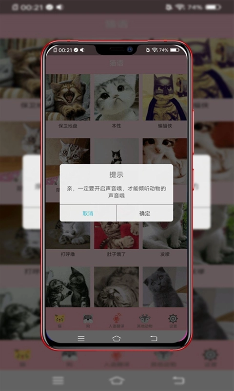 动物智能翻译