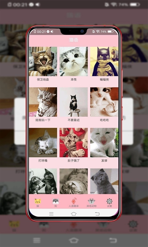 动物智能翻译
