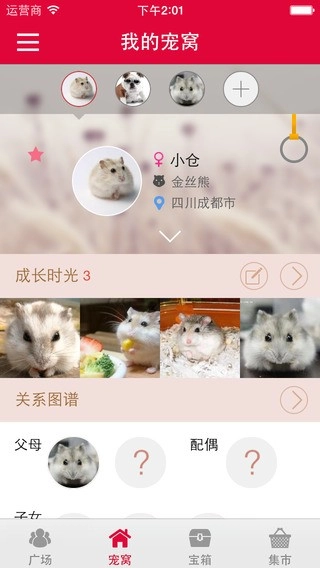 京东宠宠免费版图1