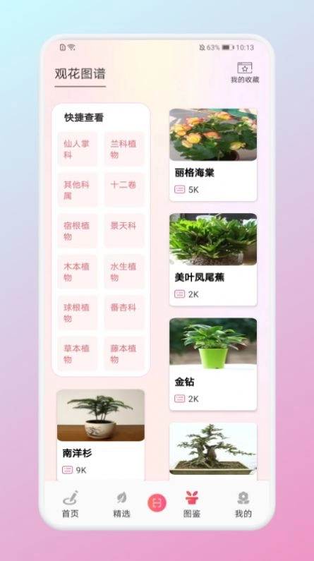 养花小助手无广告版图3