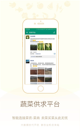 真甜农服官方版图2