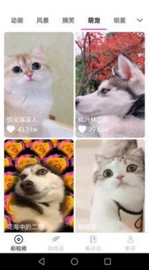 畅看刷刷手机最新版图3