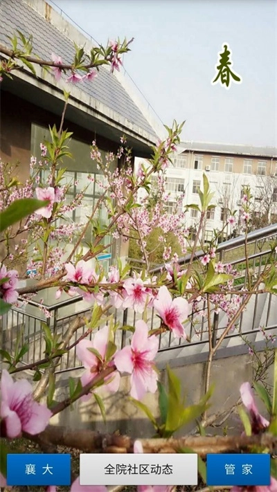 襄大管家免费原版图1