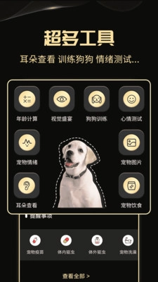 人狗交流神器官方最新版图1
