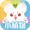 小植物无广告版