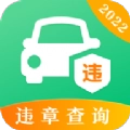 查违章12128无广告版