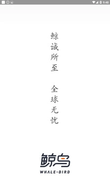 鲸鸟原版图2