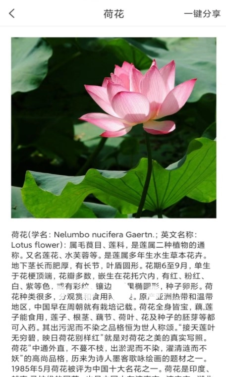 拍照识物全能王手机正版图3