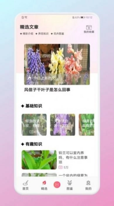 养花大掌柜官方正版图1
