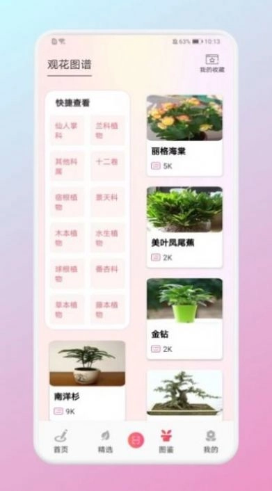 养花大掌柜官方正版图2