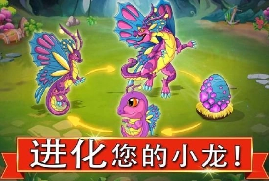 龙之战