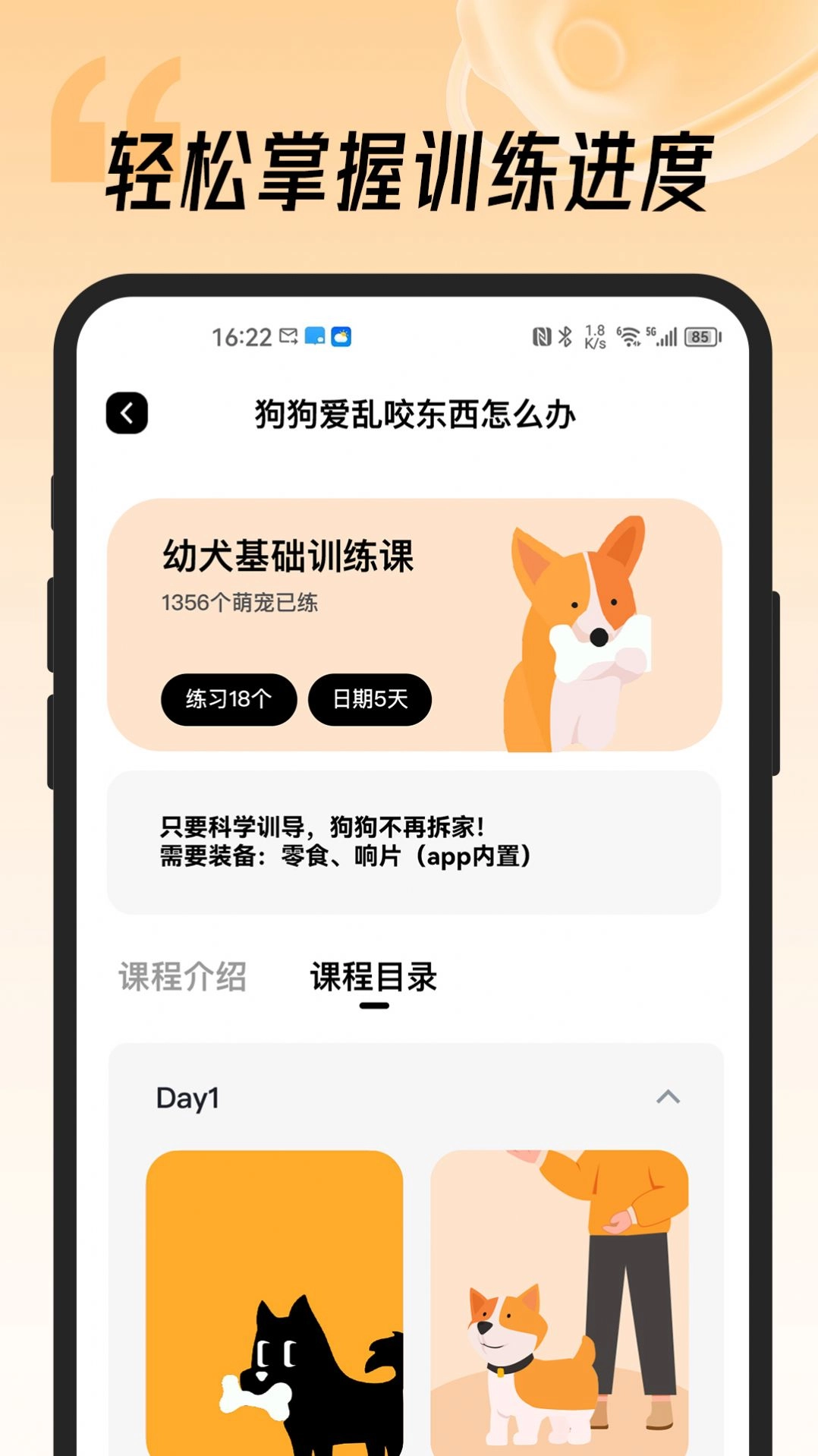 宠物记安卓直装版图2
