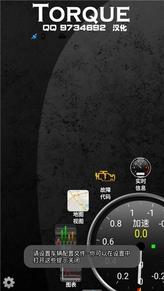 Torque车况大师原版图3