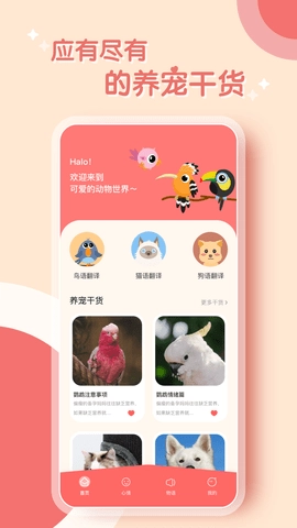 鹦鹉翻译器无广告版图2
