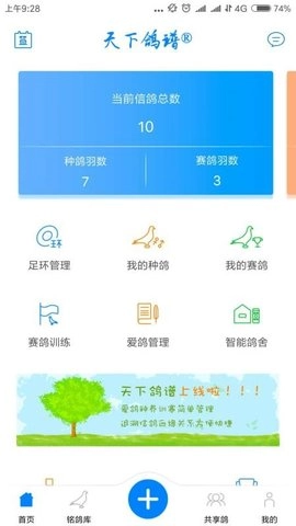 天下鸽谱通用版图1