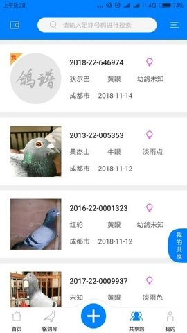 天下鸽谱通用版图2