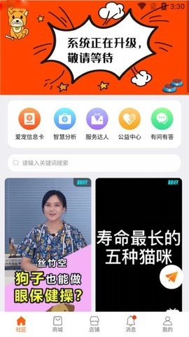世纪天宠安卓官方版图2