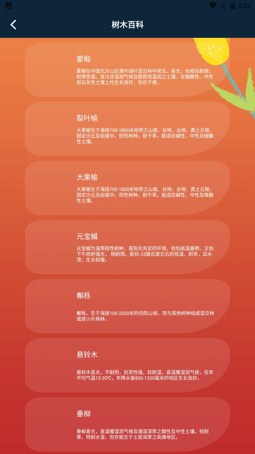 plantae官方最新版图1