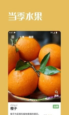 果蔬时节免费原版