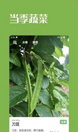 果蔬时节免费原版